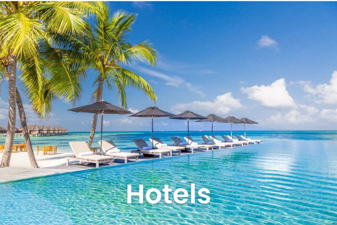 search hotels