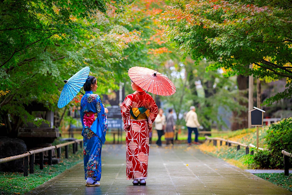 two young asian woman wearing blue and red kimono with umbrella on holding hand walking in the park at autumn leaves season in japan