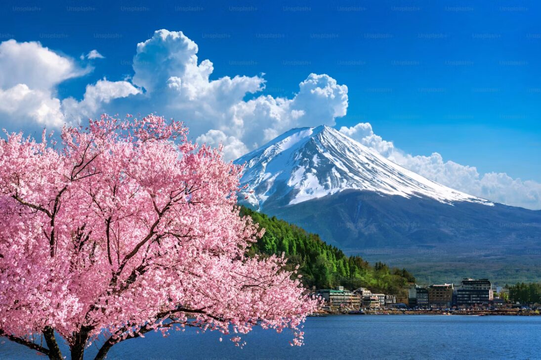 japan tours 5