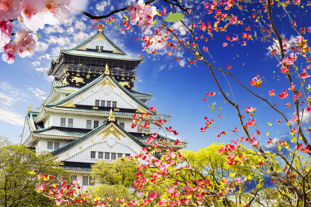 japan tours 6