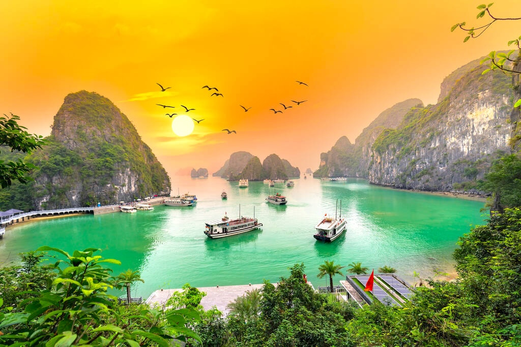 vietnam tours