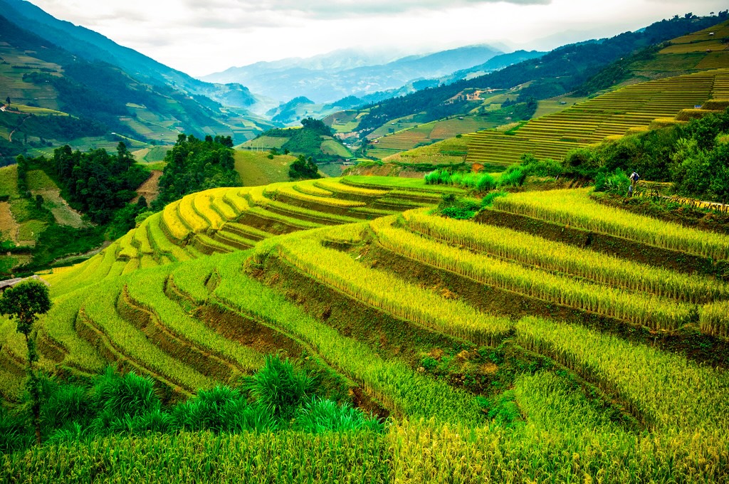 vietnam tours 10
