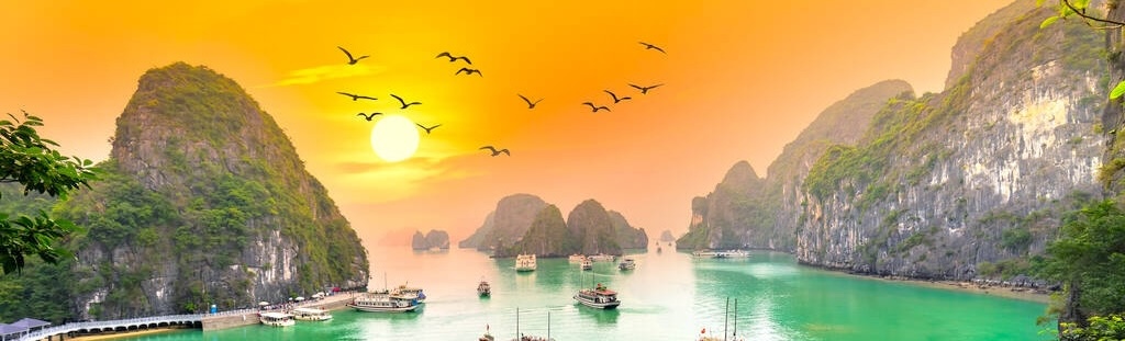 vietnam tours