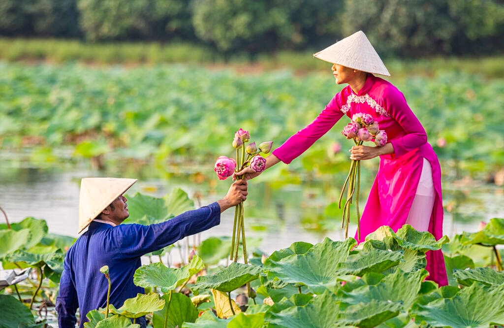 vietnam tours